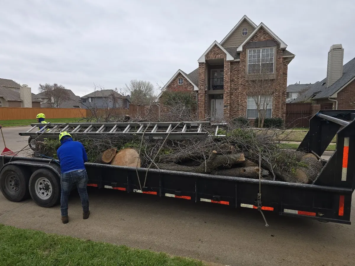 Expert Tree Removal with proper safety equipment in State Line